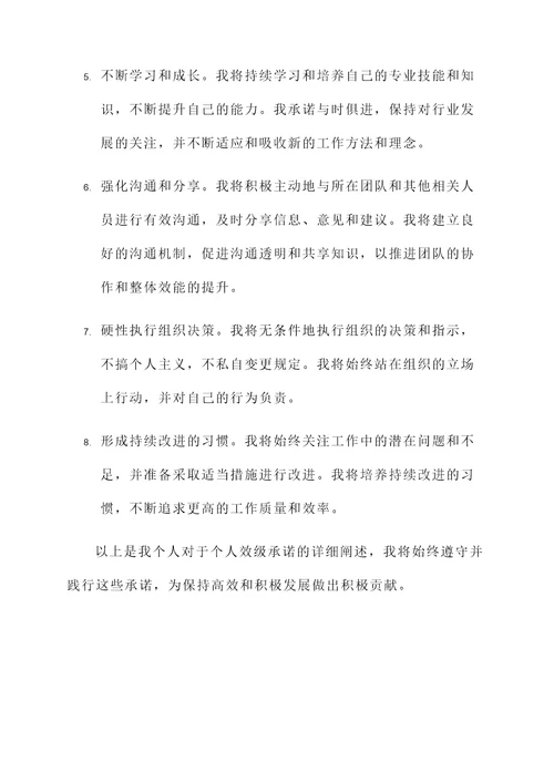 个人效级承诺书