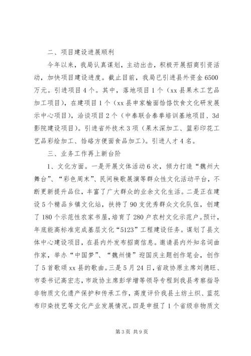 县文广新局年度工作汇报 (6).docx