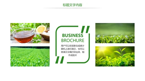 唯美绿色茶园文化茶艺品茶论道PPT模板