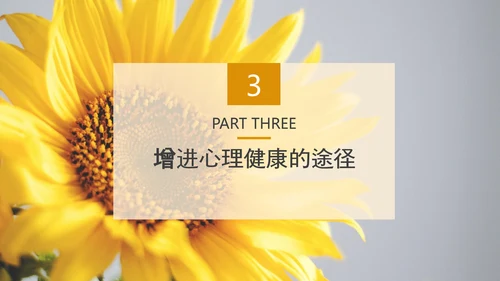 中小学生心理健康应知应会PPT模板