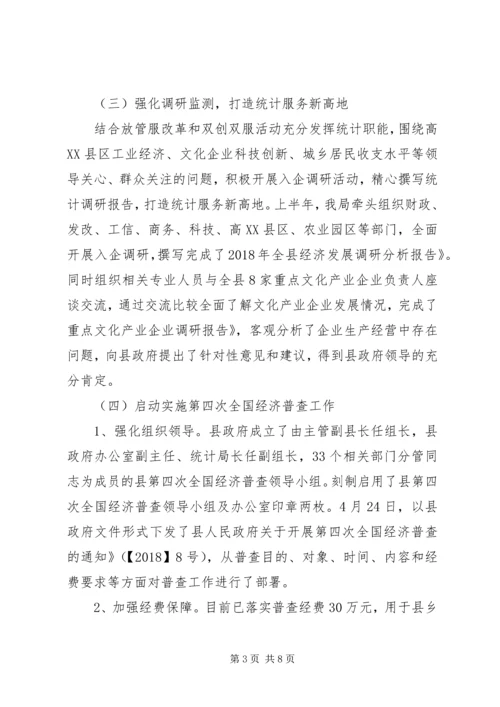 统计局XX年上半年工作总结及下半年工作安排 (2).docx