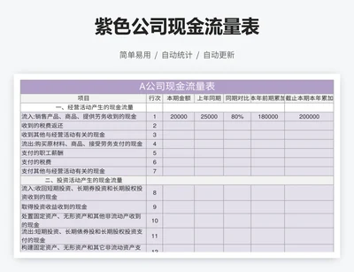紫色公司现金流量表