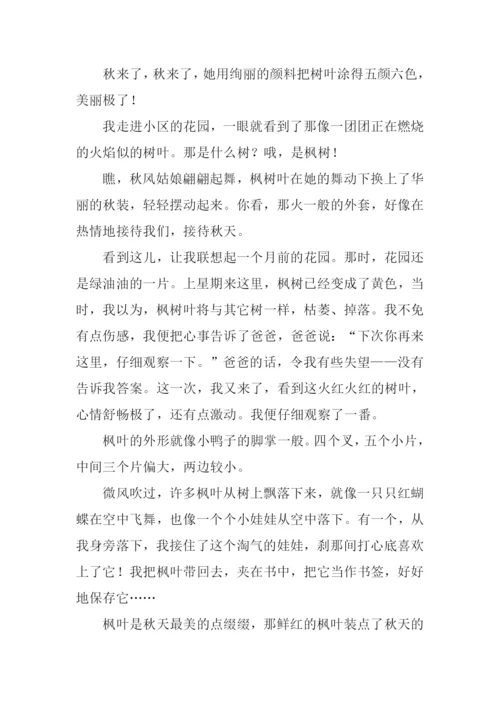 侧面描写秋天的作文.docx