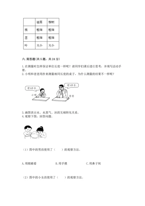 教科版小学一年级上册科学期末测试卷附参考答案（轻巧夺冠）.docx