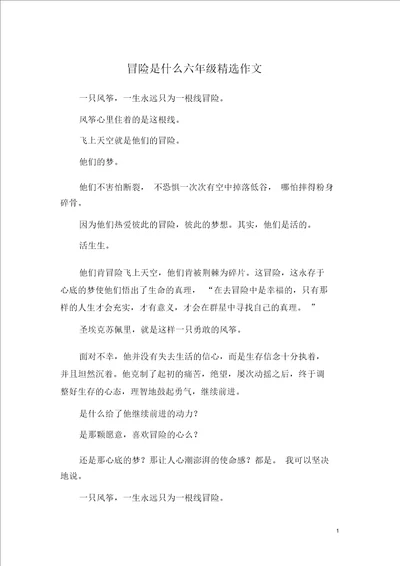 冒险是什么六年级精选作文