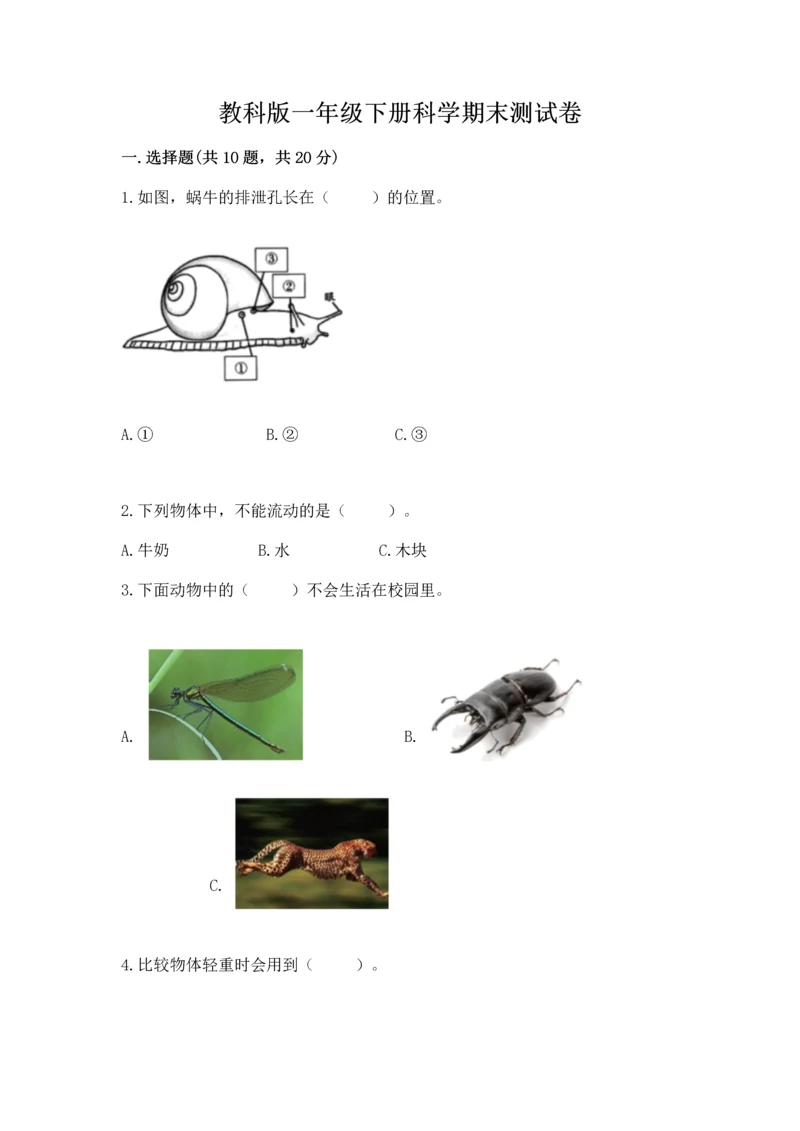 教科版一年级下册科学期末测试卷附答案（培优b卷）.docx