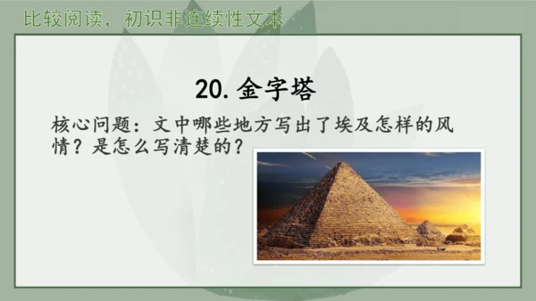 “一核双五”阅读教学法 统编版语文五年级下册第七单元-整体推进课 课件
