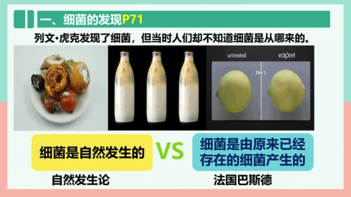 5.4.2  细菌  课件-人教版生物八年级上册(共39张PPT)