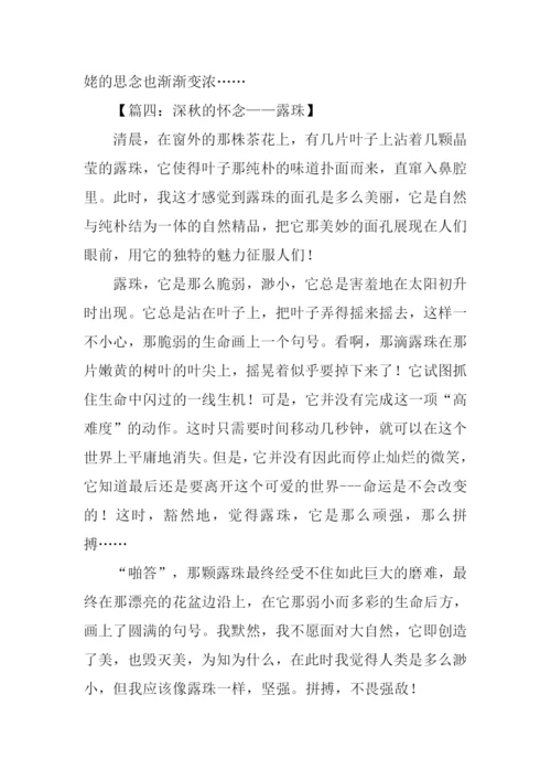 什么的怀念作文.docx