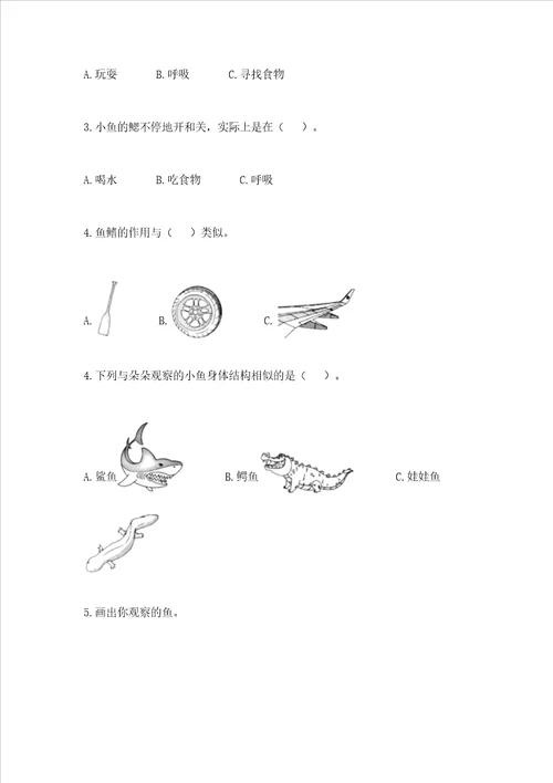 教科版科学一年级下册第二单元动物测试卷及完整答案考点梳理