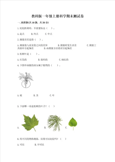 教科版一年级上册科学期末测试卷附完整答案精品