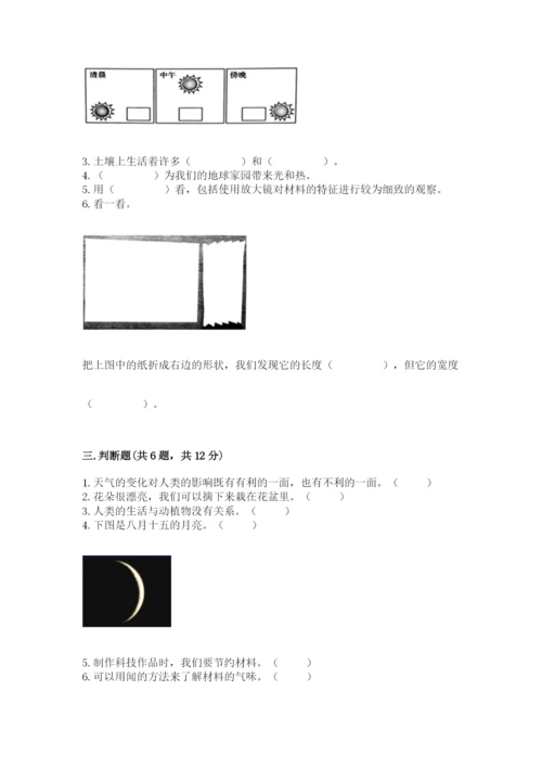 教科版小学二年级上册科学期末测试卷（培优）.docx