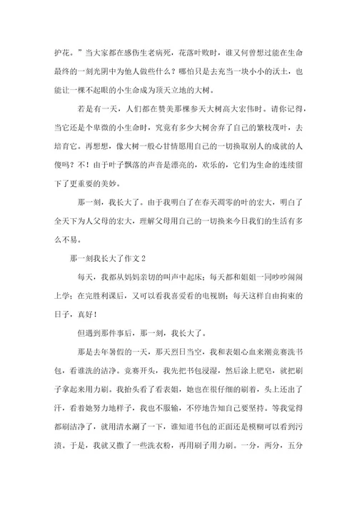 那一刻我长大了作文三篇