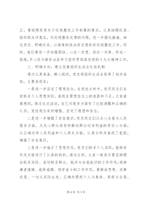 XX年党支部组织生活会总结报告.docx