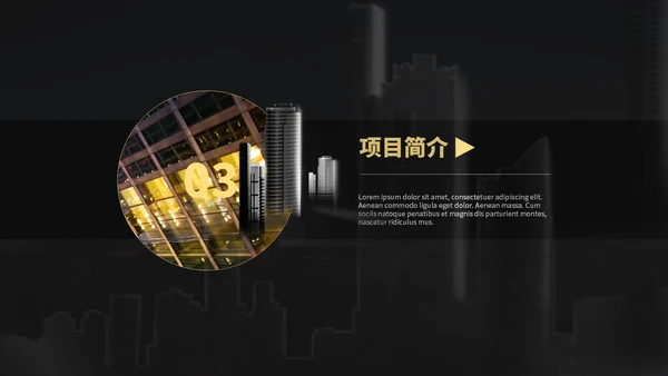 高端大气金色商务项目介绍通用PPT模板