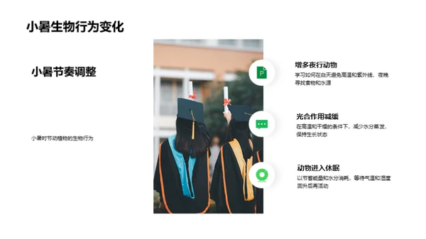 小暑生态解读