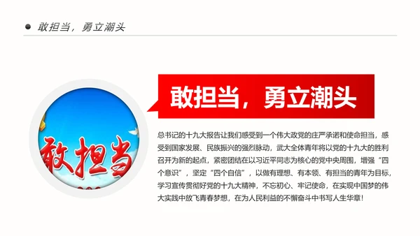 共青团十九大精神学习团委年终总结PPT