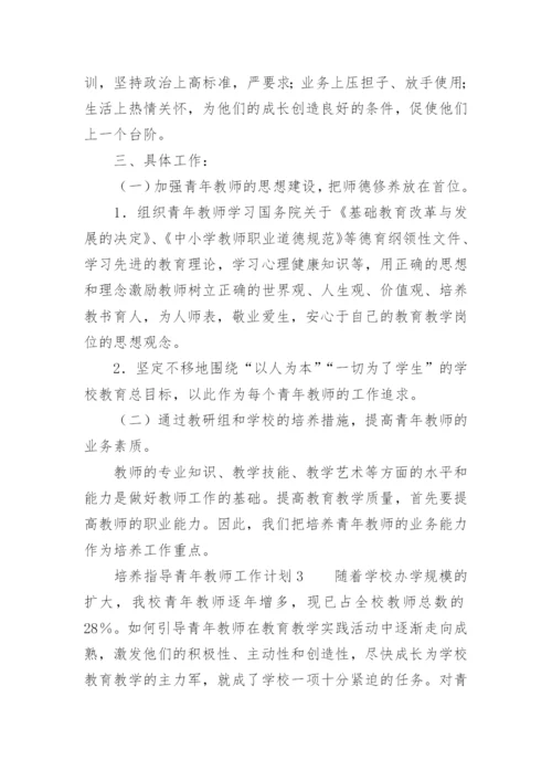 培养、指导青年教师工作计划.docx