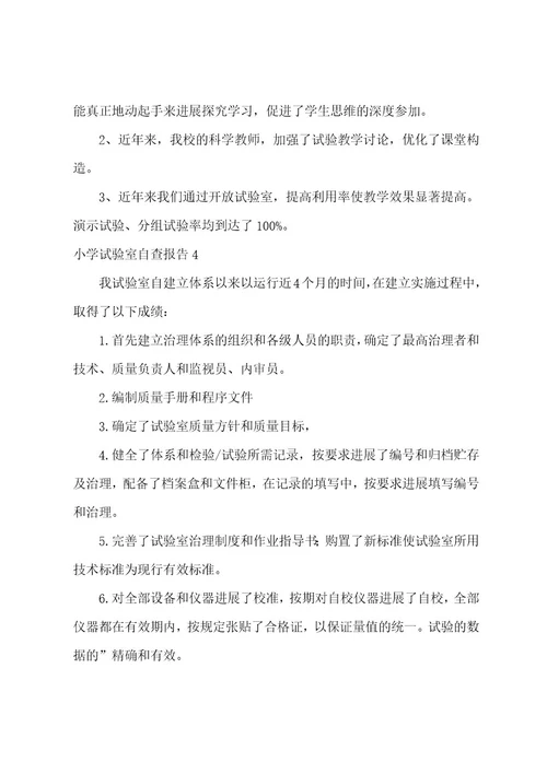 小学实验室自查报告