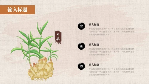 黄色系简约中国风中医药培训PPT模板