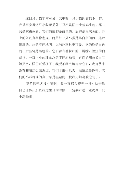 不寻常的客人作文.docx