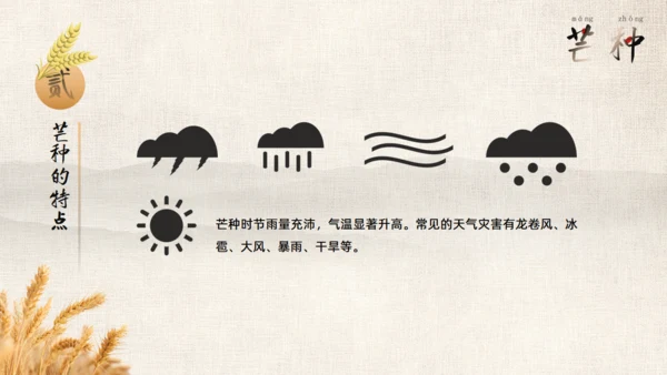 金色麦穗二十四节气之芒种通用PPT模板