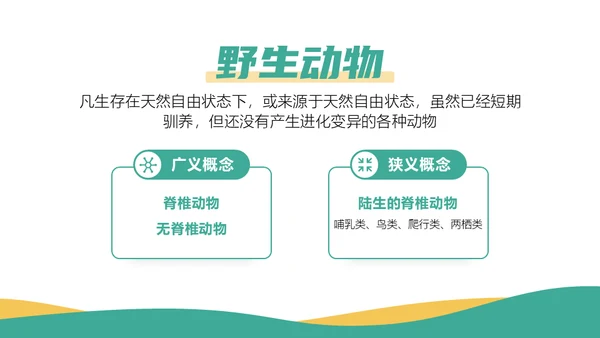 保护野生动物斑马通用PPT模板