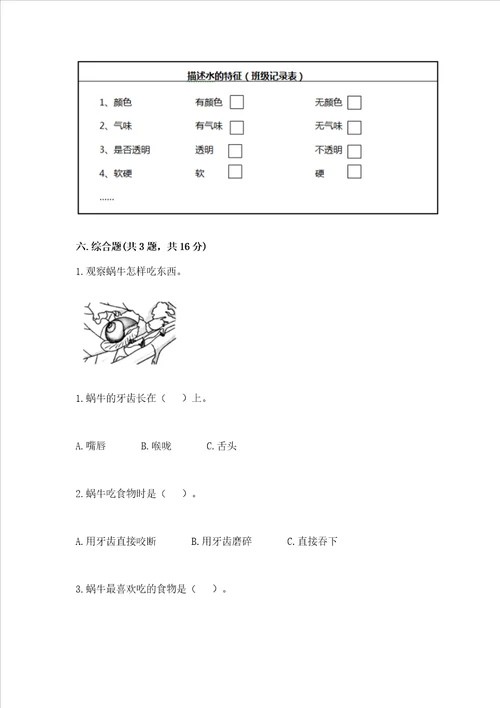 教科版 一年级下册科学期末测试卷精华版