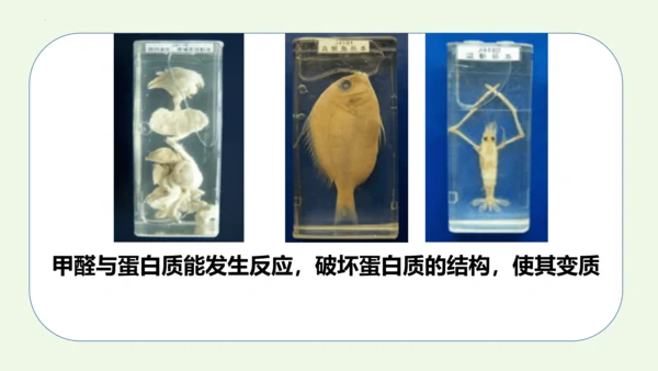课题1 人类重要的营养物质-2022-2023学年九年级化学下册同步教学精品课件(共32张PPT内嵌