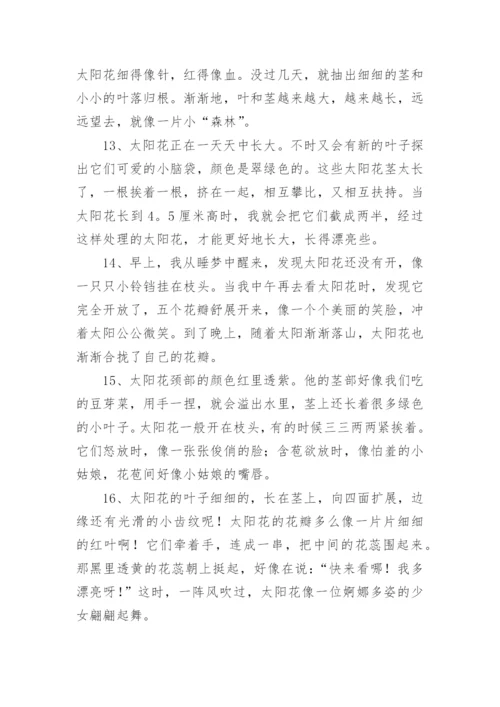 向日葵唯美语录.docx