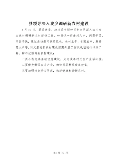 县领导深入我乡调研新农村建设.docx