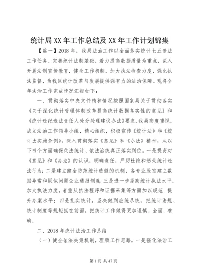 统计局XX年工作总结及XX年工作计划锦集 (2).docx
