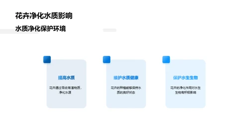 绿色养生：花卉与城市环保