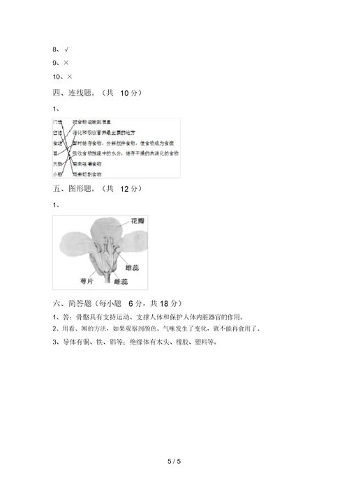 大象版四年级科学上册期中试卷及答案1套