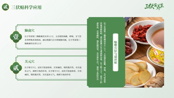 绿色古风三伏天养生健康指南PPT模板
