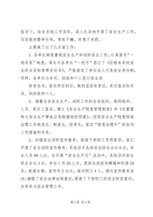 粮食局安全生产总结及工作计划 (3).docx