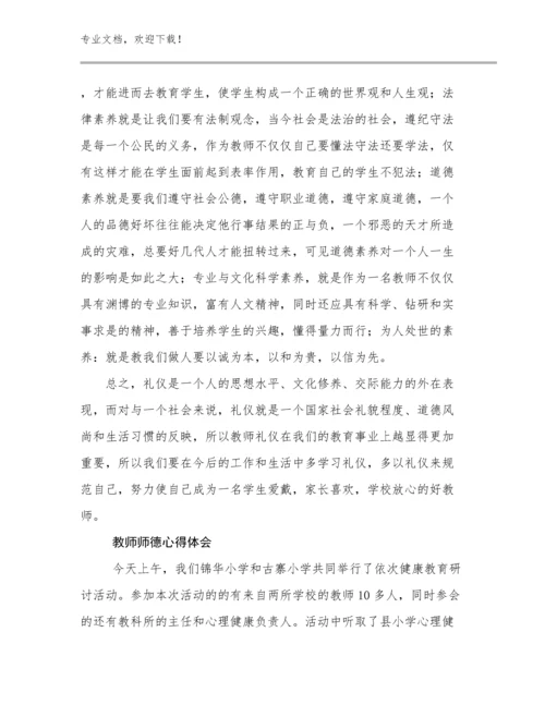 2024教师师德心得体会例文17篇.docx