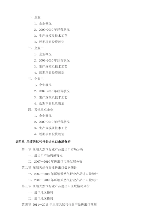 压缩天然气项目投资调研及前景预测报告模板.docx