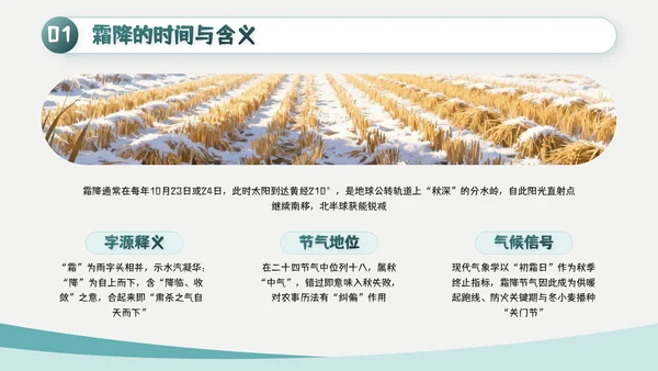 绿色简约风霜降主题班会PPT模板