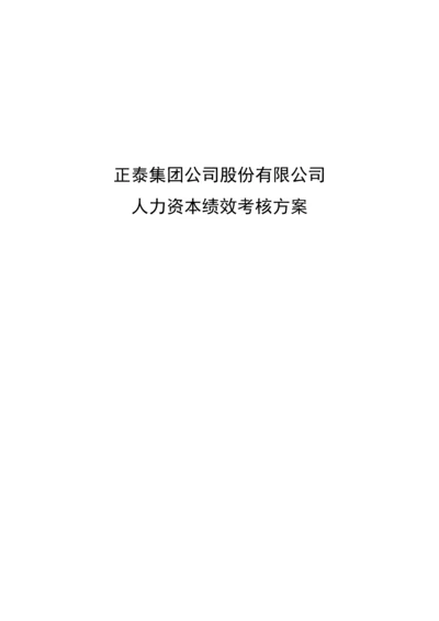 公司人力资本绩效考评专题方案.docx