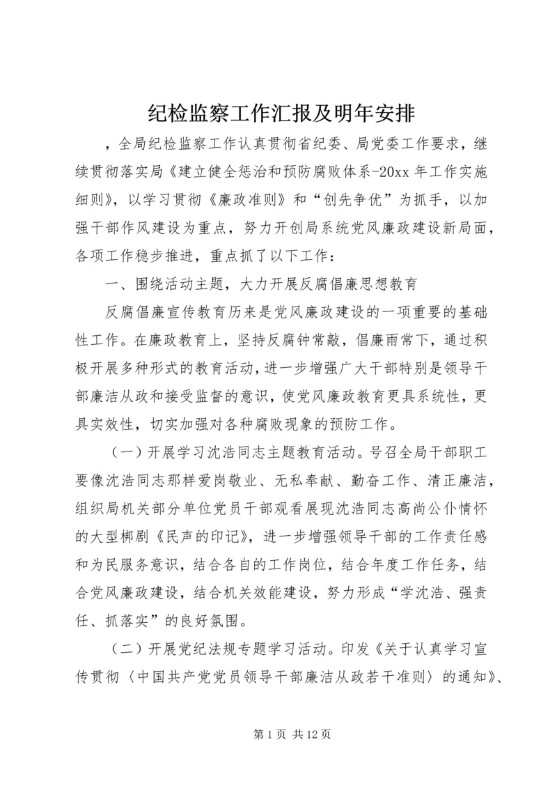 纪检监察工作汇报及明年安排.docx