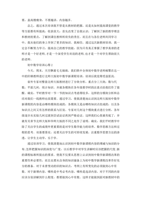 初中数学教学培训心得3篇.docx