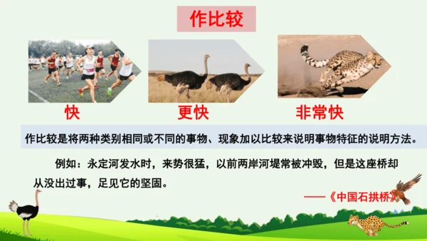 7 什么比猎豹的速度更快 第二课时 课件