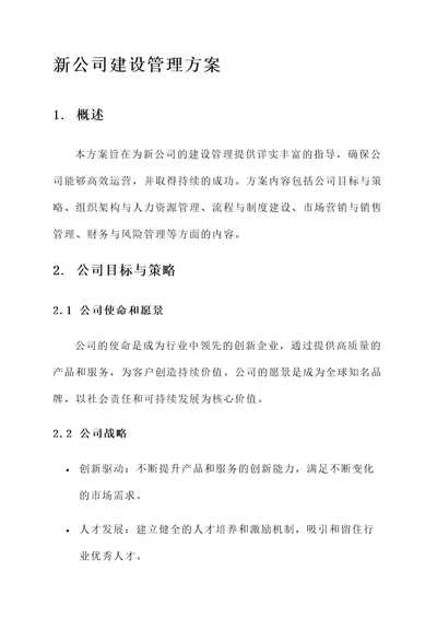 新公司建设管理方案