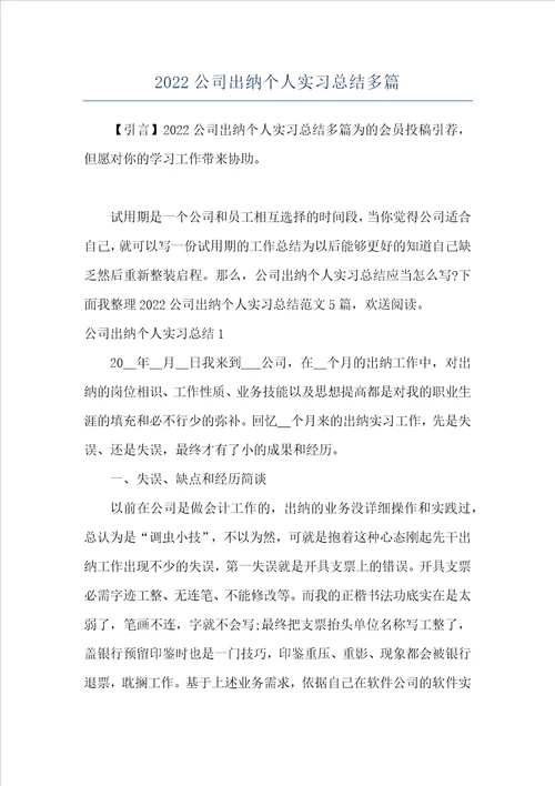 2022公司出纳个人实习总结多篇