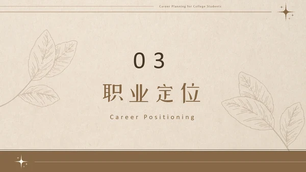 美拉德色大学生职业生涯规划PPT模板
