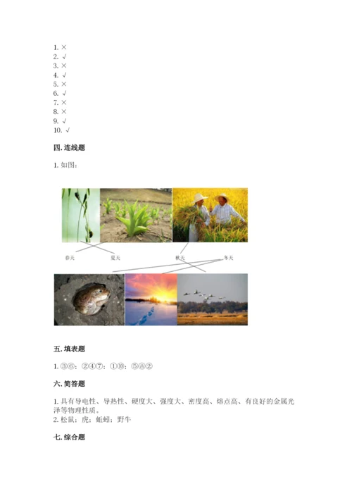 教科版二年级上册科学期末测试卷精品（巩固）.docx