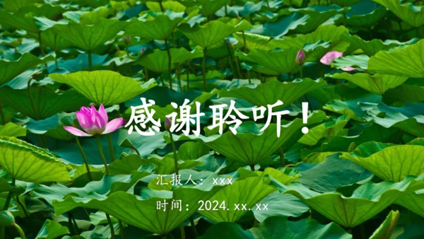 12荷叶圆圆  第1课时   说课课件