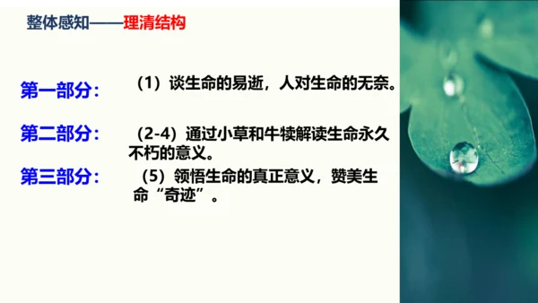 第16课《永久的生命》同步课件