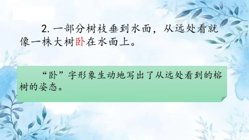 部编版五年级上册第七单元复习  课件